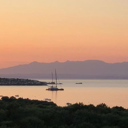 Seaview Apartments 80 Палау Екстер'єр фото